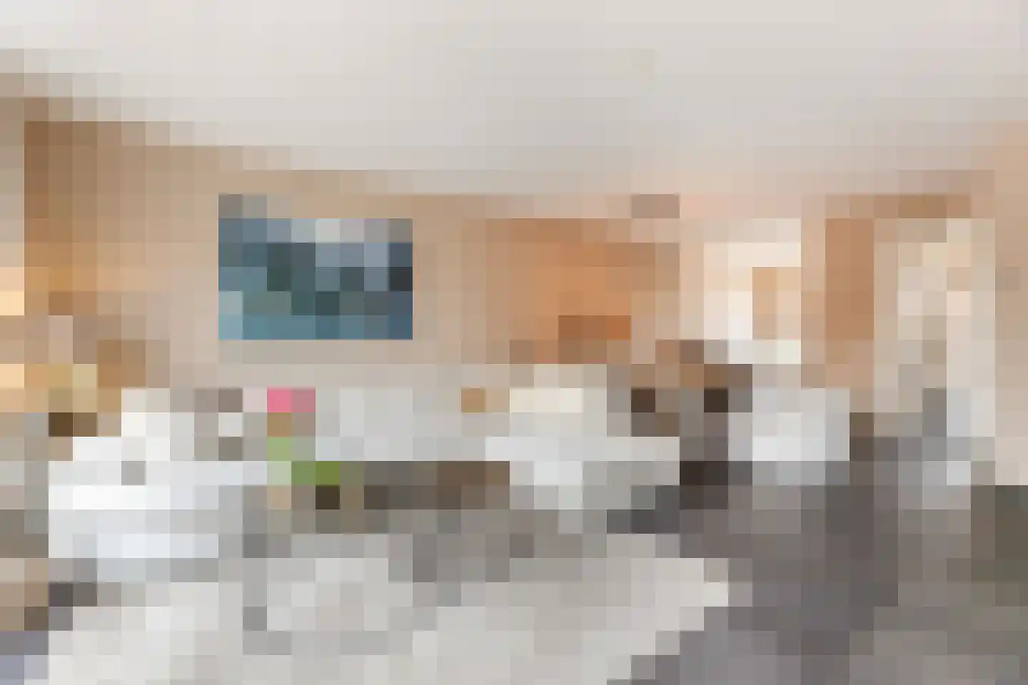Beekdal 16 Deurningen thumbnail 22