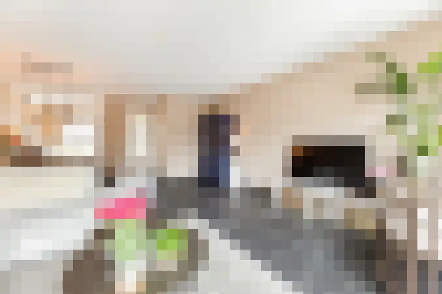 Beekdal 16 Deurningen thumbnail 23