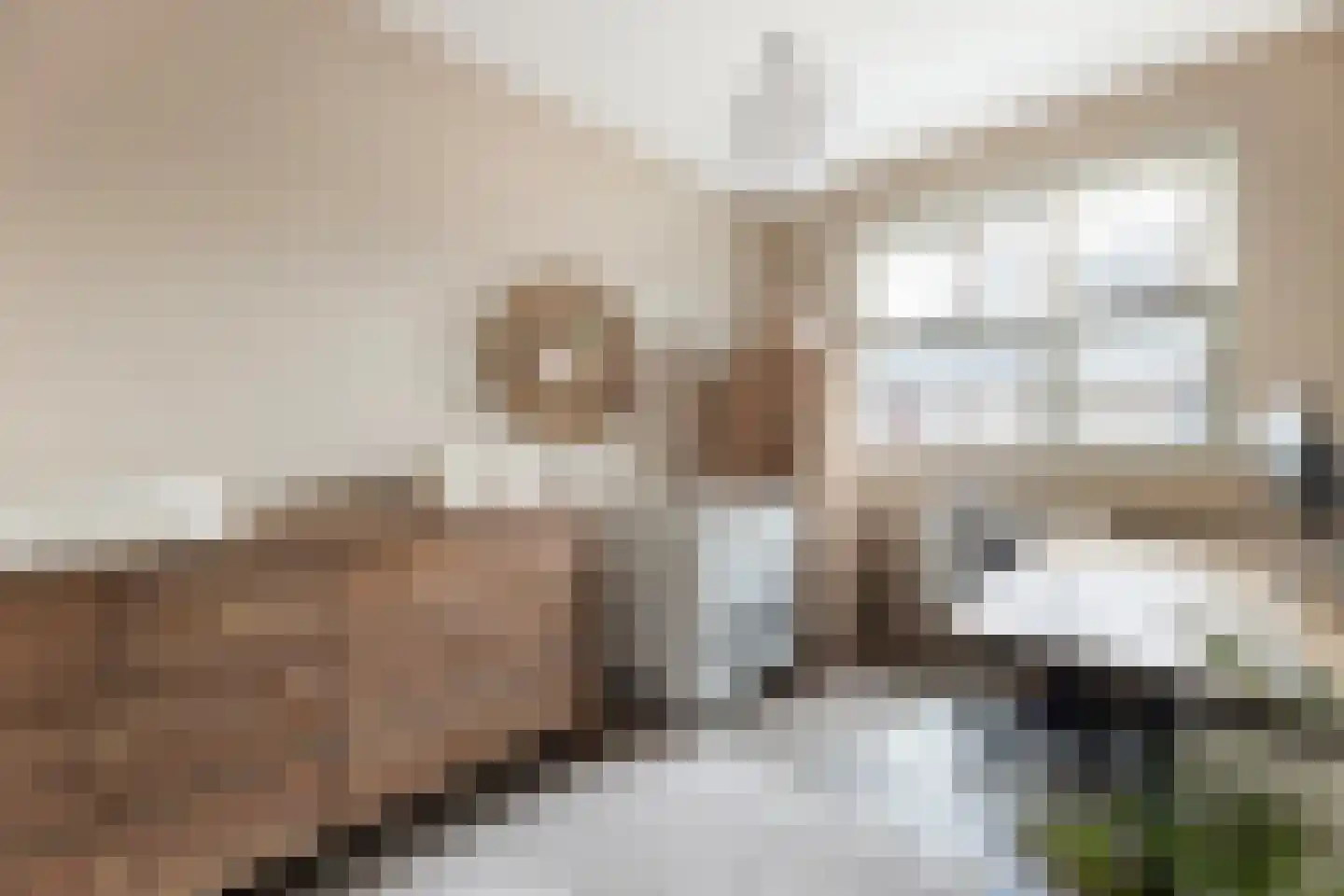 Beekdal 16 Deurningen thumbnail 38