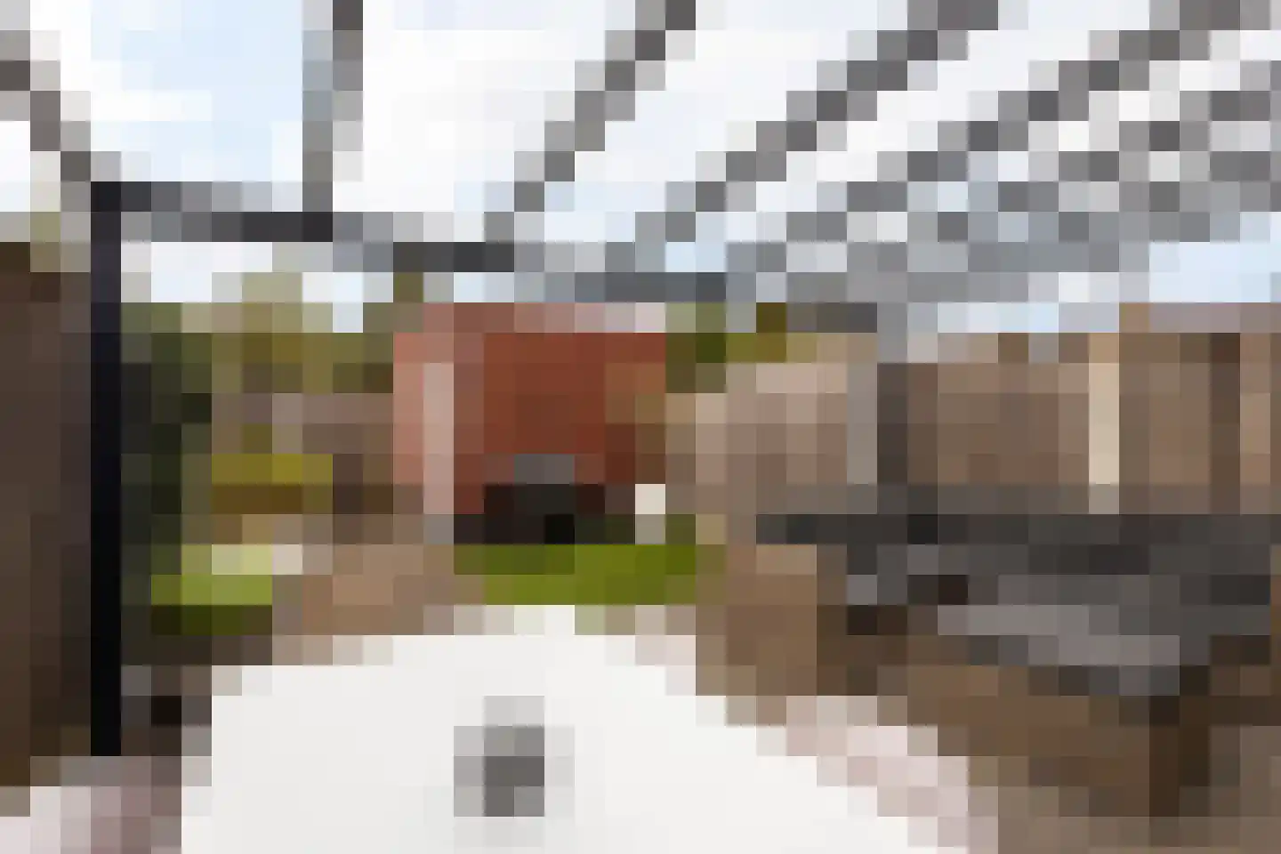 Beekdal 16 Deurningen thumbnail 9