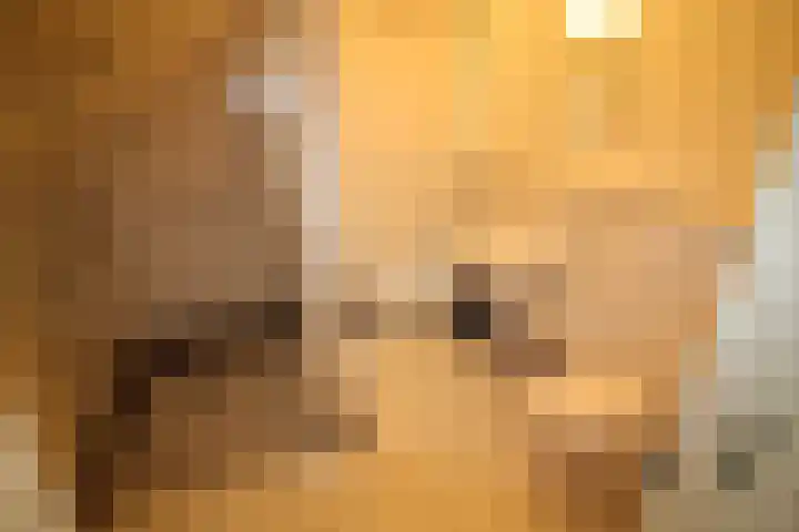 Beekdal 23 Vriezenveen thumbnail 10