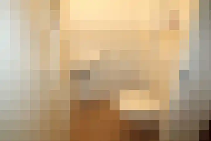 Beekdal 23 Vriezenveen thumbnail 14