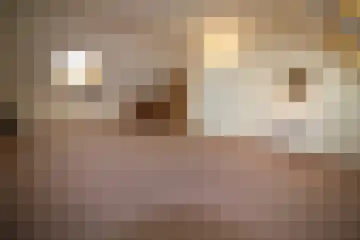 Beekdal 23 Vriezenveen thumbnail 17