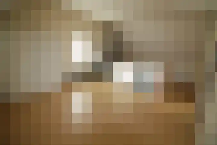 Beekdal 23 Vriezenveen thumbnail 19