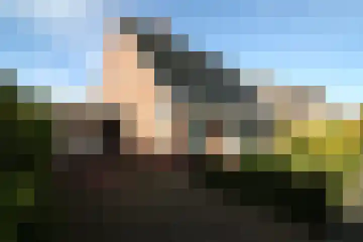 Beekdal 23 Vriezenveen thumbnail 22