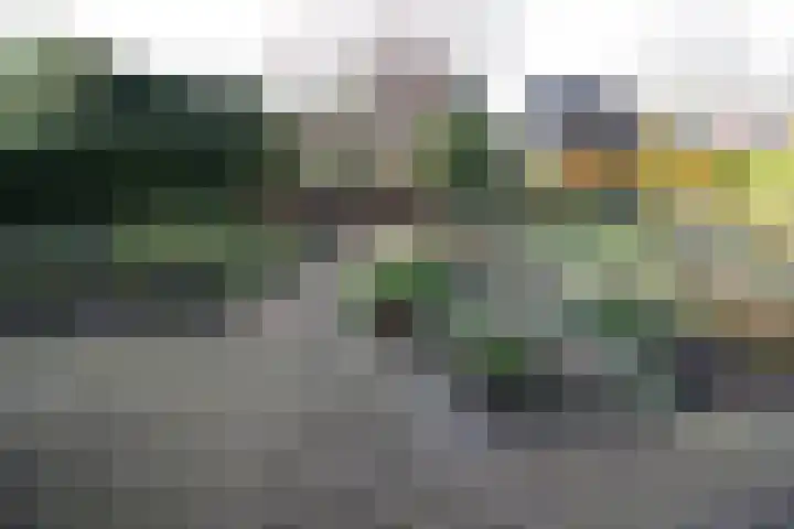 Beekdal 23 Vriezenveen thumbnail 28