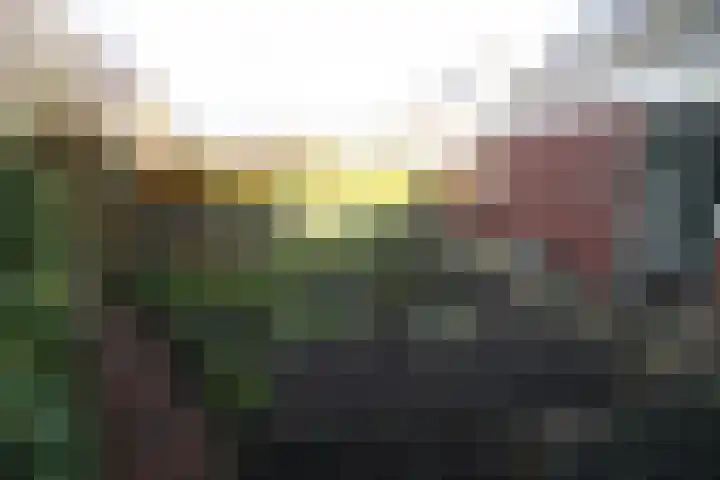 Beekdal 23 Vriezenveen thumbnail 29