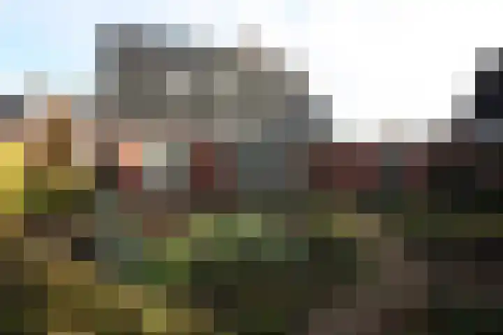 Beekdal 23 Vriezenveen thumbnail 32