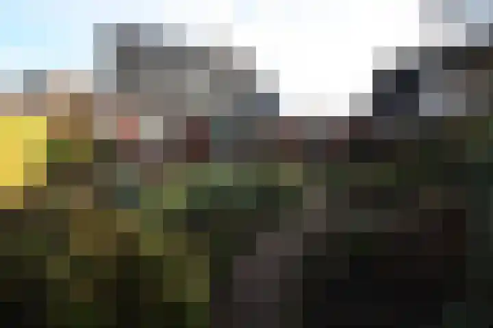 Beekdal 23 Vriezenveen thumbnail 33