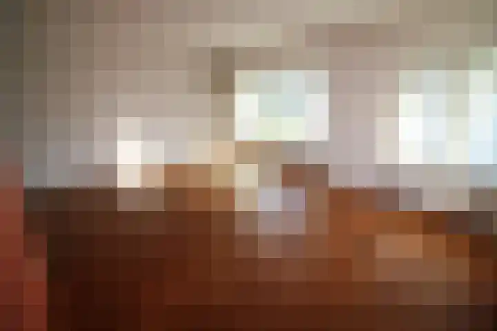 Beekdal 23 Vriezenveen thumbnail 4