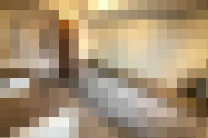Beekdal 24 Vriezenveen thumbnail 10