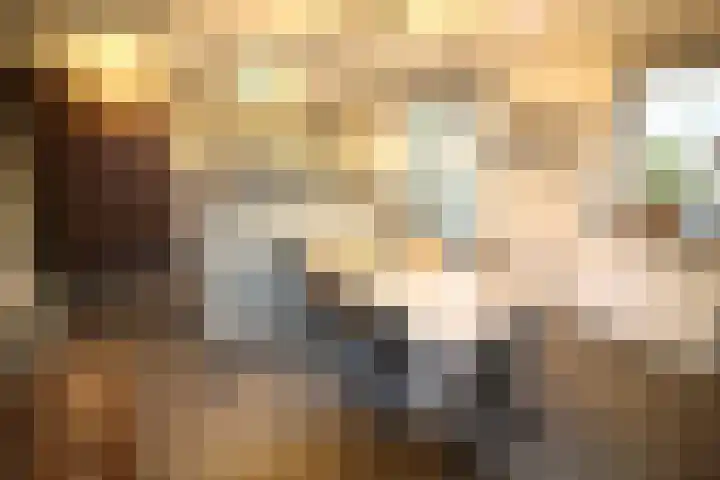 Beekdal 24 Vriezenveen thumbnail 12
