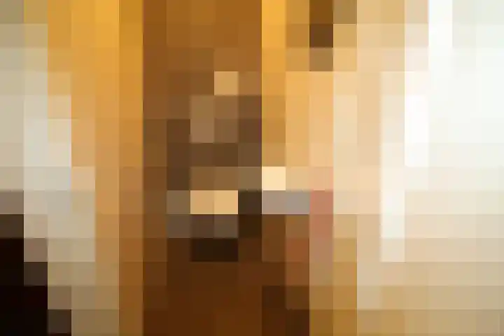 Beekdal 24 Vriezenveen thumbnail 16