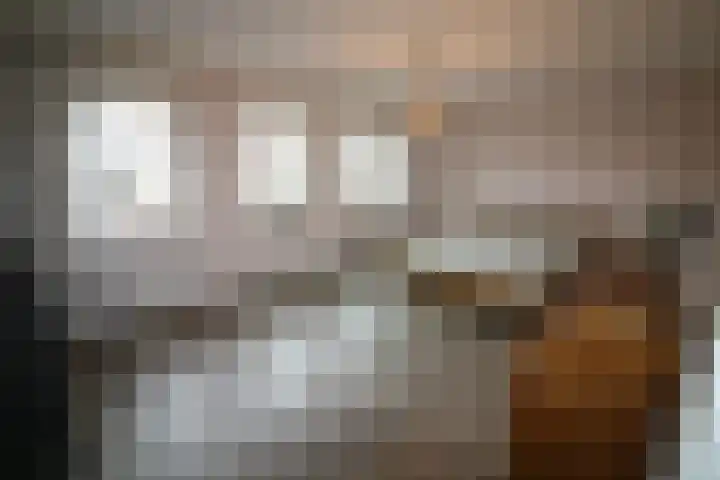 Beekdal 24 Vriezenveen thumbnail 18