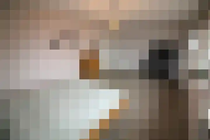 Beekdal 24 Vriezenveen thumbnail 19