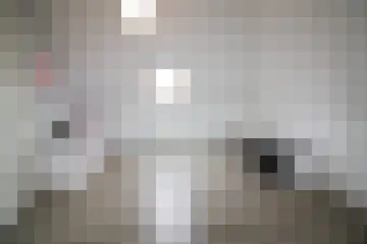Beekdal 24 Vriezenveen thumbnail 22