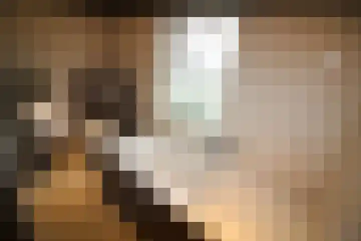 Beekdal 24 Vriezenveen thumbnail 26