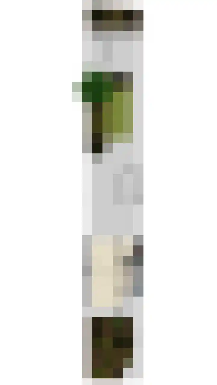 Beekdal 24 Vriezenveen thumbnail 29