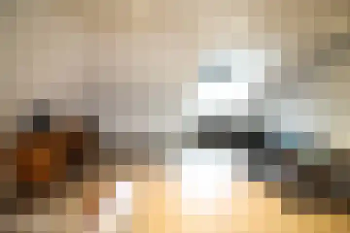 Beekdal 24 Vriezenveen thumbnail 30