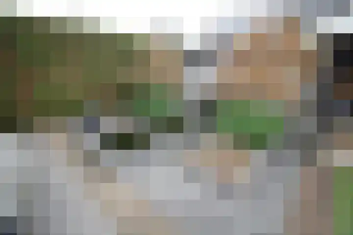 Beekdal 24 Vriezenveen thumbnail 38