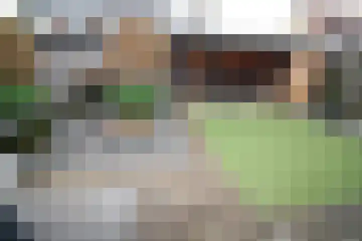 Beekdal 24 Vriezenveen thumbnail 39