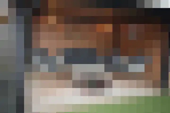 Beekdal 24 Vriezenveen thumbnail 40