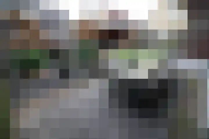 Beekdal 24 Vriezenveen thumbnail 42