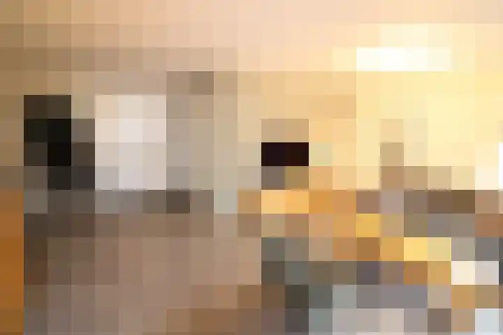 Beekdal 24 Vriezenveen thumbnail 5