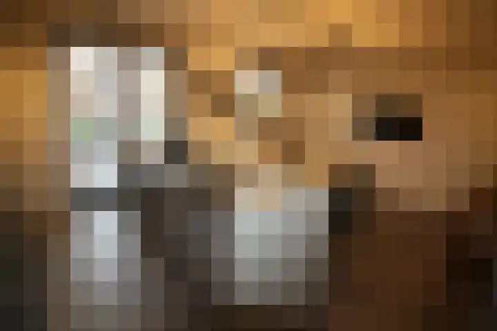 Beekdal 24 Vriezenveen thumbnail 7