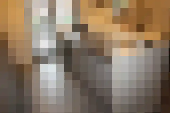 Beekdal 24 Vriezenveen thumbnail 8