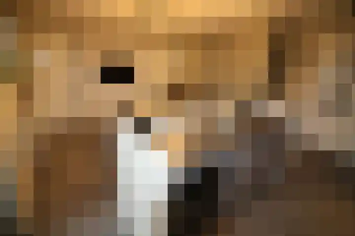 Beekdal 24 Vriezenveen thumbnail 9