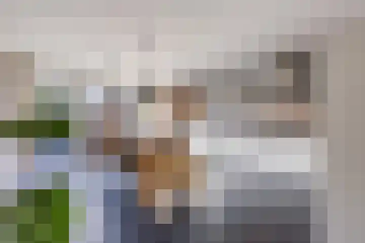 Beekdal 29 Vianen NB thumbnail 10