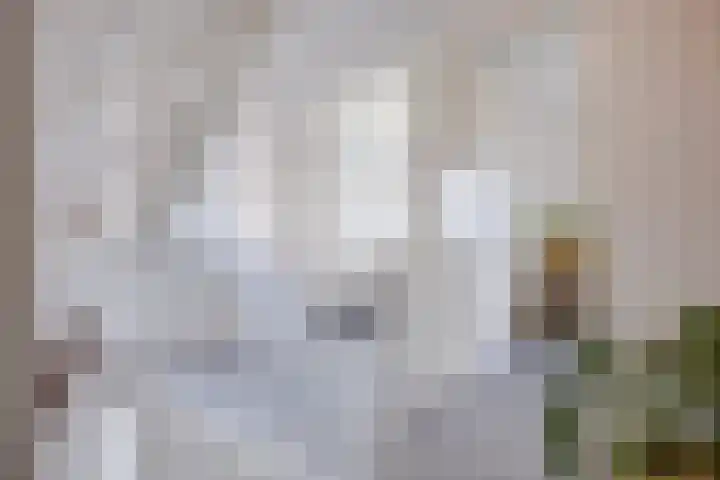 Beekdal 29 Vianen NB thumbnail 23