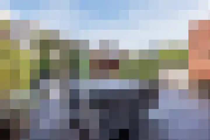 Beekdal 29 Vianen NB thumbnail 27