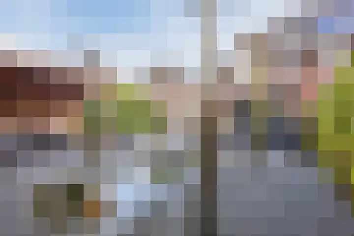 Beekdal 29 Vianen NB thumbnail 32