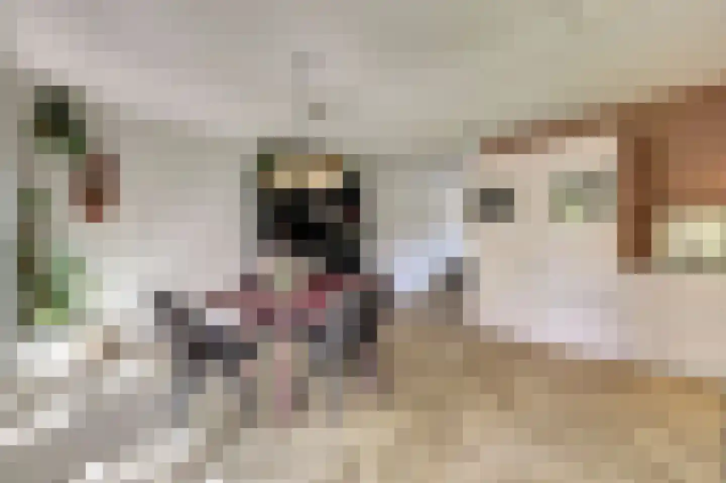 Beekdal 31 Vianen NB thumbnail 14