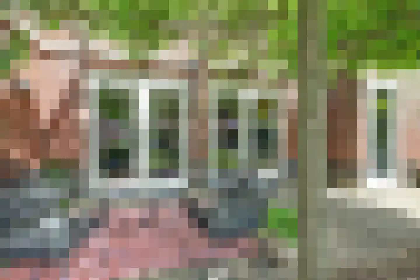 Beekdal 31 Vianen NB thumbnail 42