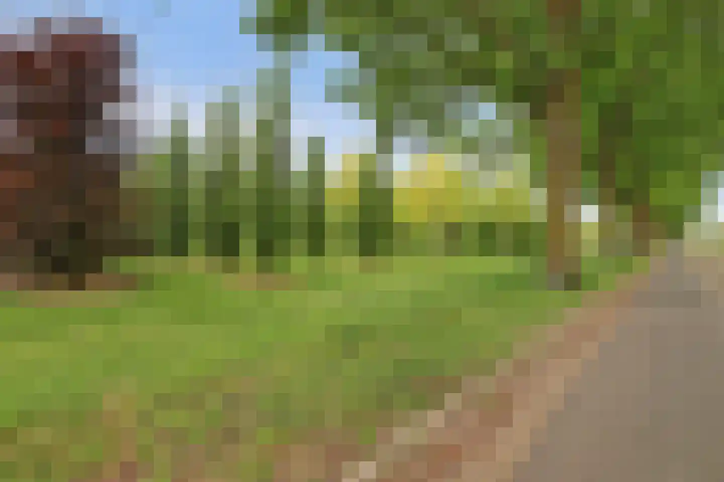 Beekdal 31 Vianen NB thumbnail 52