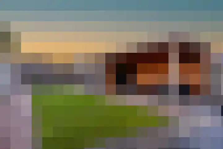 Beekdal 41 Vianen NB thumbnail 24