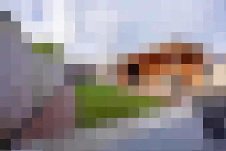 Beekdal 41 Vianen NB thumbnail 29