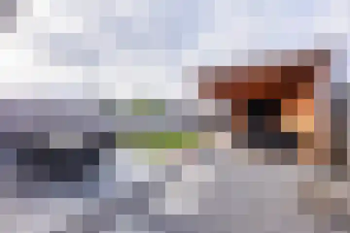 Beekdal 41 Vianen NB thumbnail 33