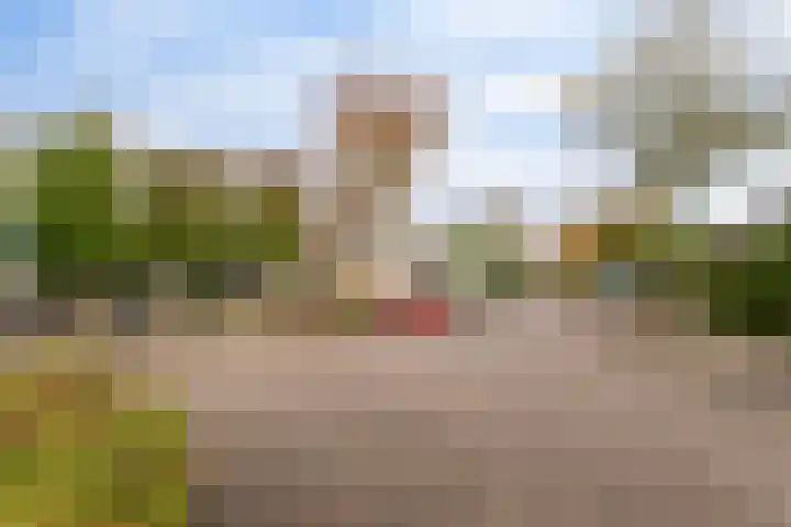 Beekdal 48 Ulvenhout thumbnail 29