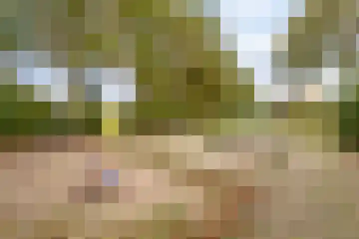 Beekdal 48 Ulvenhout thumbnail 31