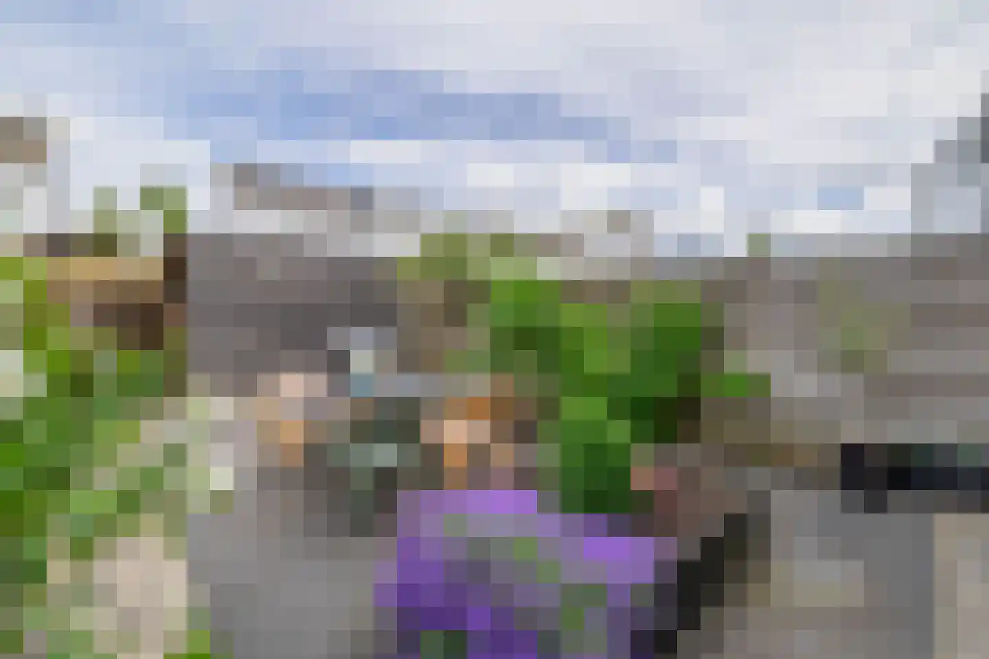 Beekdal 5 Assendelft thumbnail 32
