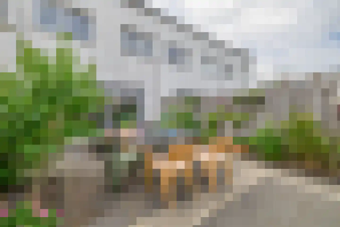 Beekdal 5 Assendelft thumbnail 35