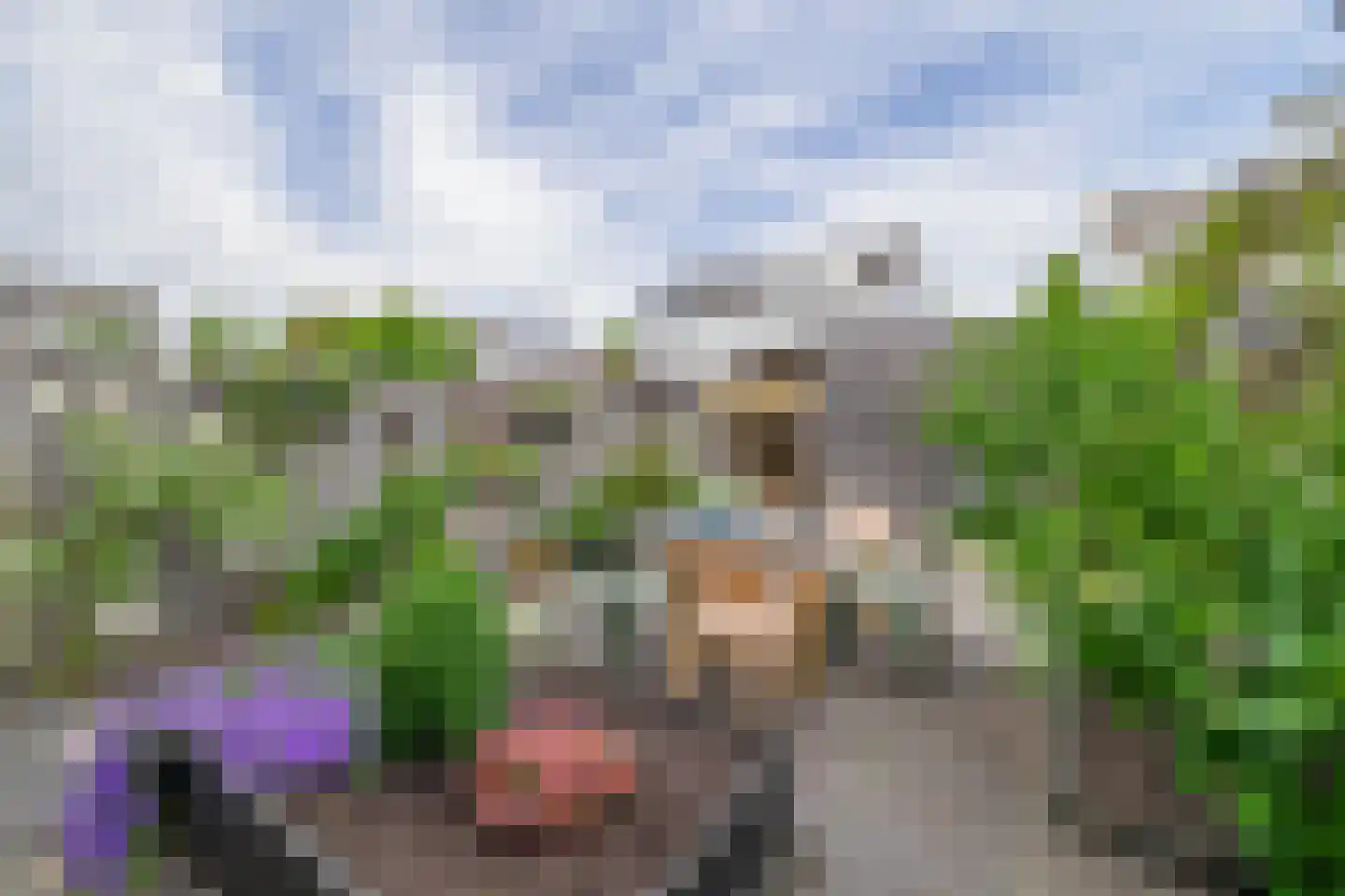 Beekdal 5 Assendelft thumbnail 8