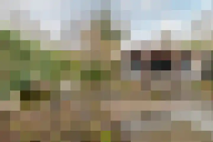 Beekdal 7 Ulvenhout thumbnail 31