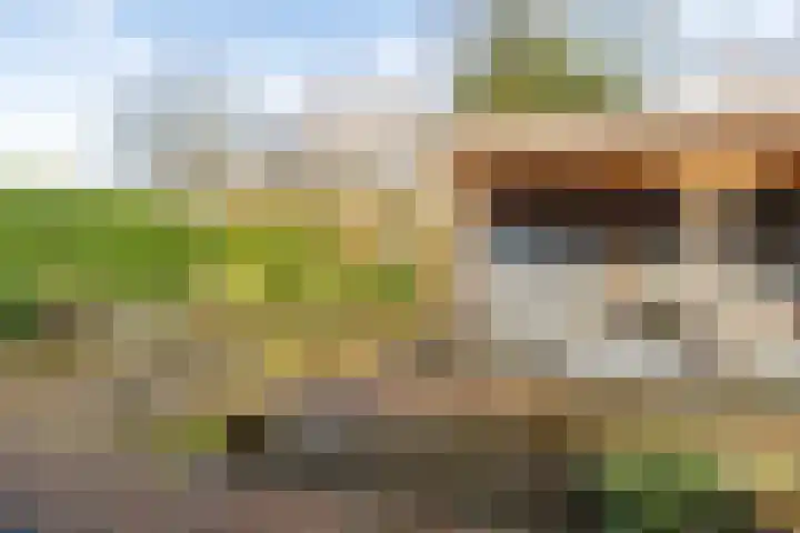 Beekdal 7 Ulvenhout thumbnail 32