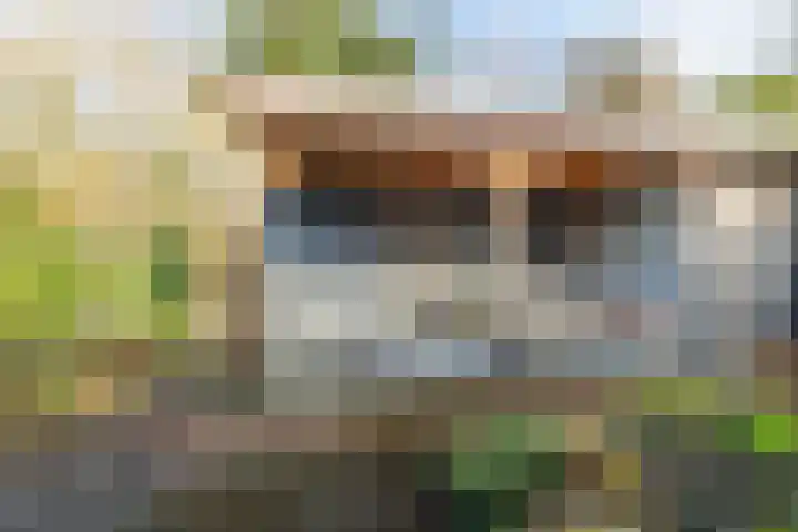 Beekdal 7 Ulvenhout thumbnail 33