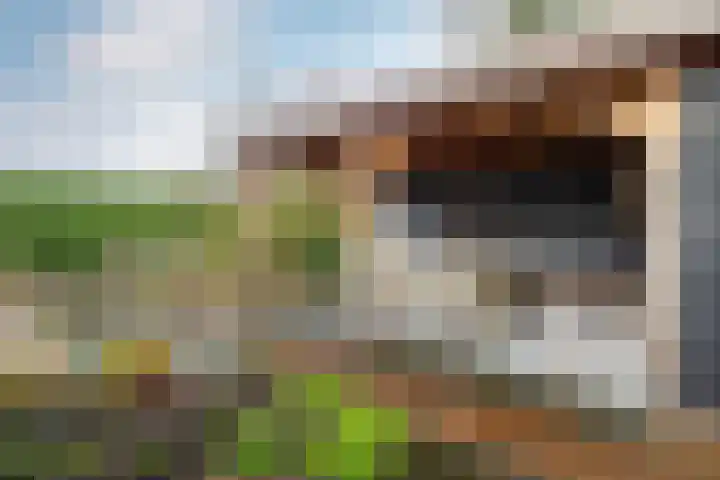 Beekdal 7 Ulvenhout thumbnail 34